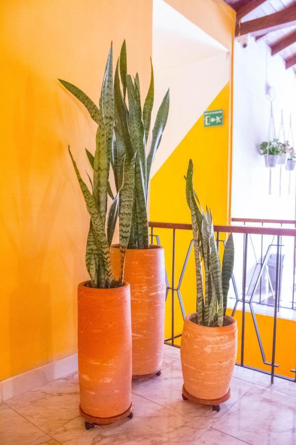 Hotel Porton Colonial Medellín Zewnętrze zdjęcie